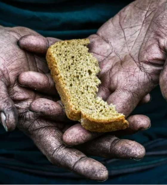 Relatório ONU: insegurança alimentar atinge 70,3 milhões no brasil