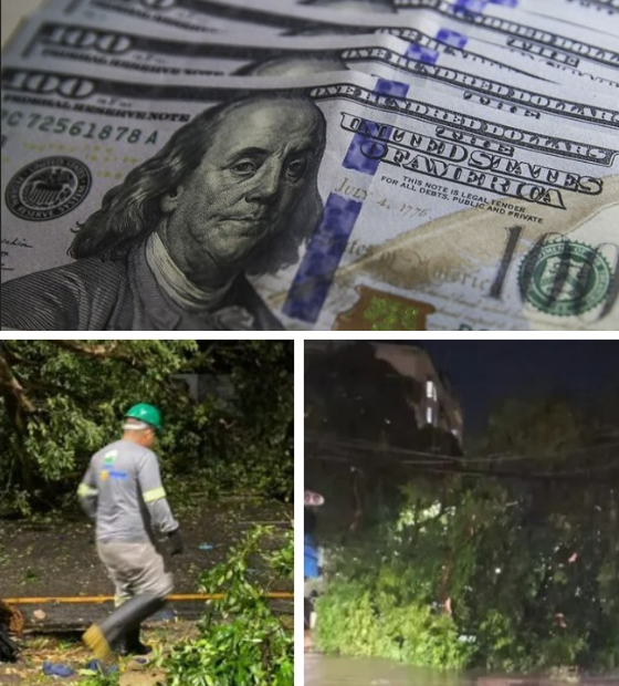 A queda do dólar e outros vendavais