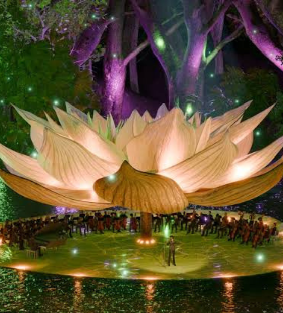 Festival Amazônia Para Sempre anuncia financiamento de iniciativas de preservação da floresta