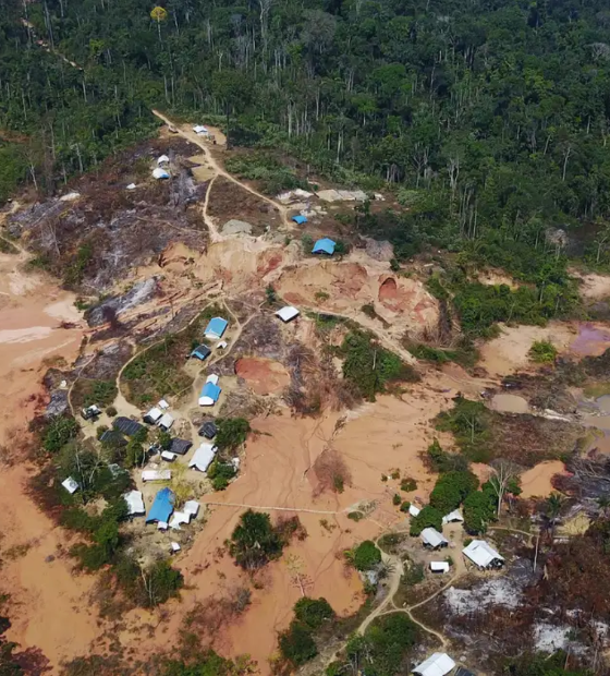 Nova tecnologia ajuda Brasil na repressão ao comércio ilegal de ouro da Amazônia