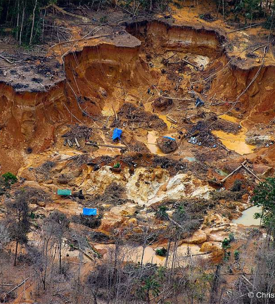Em dois meses, garimpo destruiu área de 462 campos de futebol em áreas protegidas da Amazônia