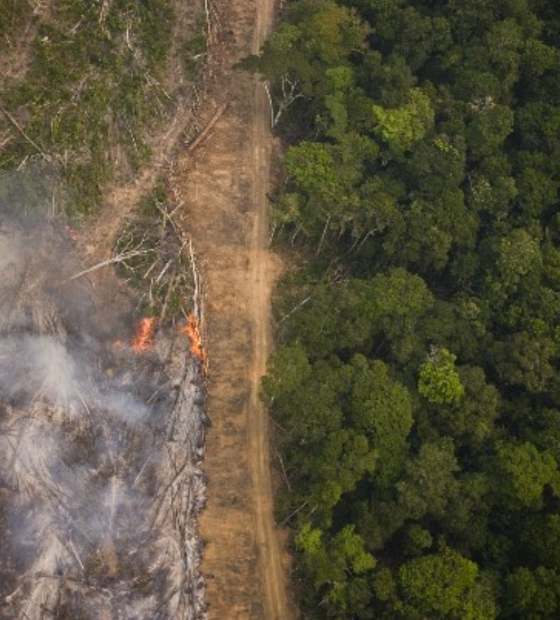 Com o ar mais poluído do Brasil, Amazônia pune aqueles que a desmatam