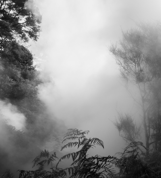 BBC: O que rio fervente da Amazônia revela sobre aquecimento do planeta