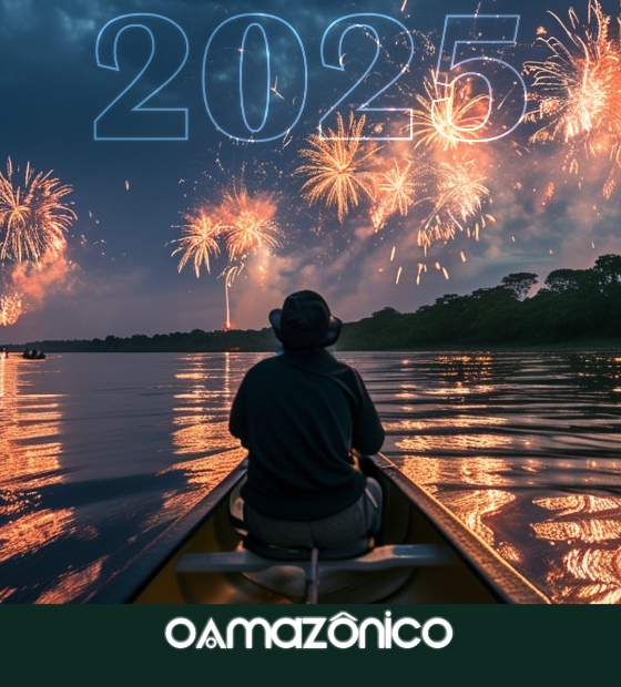 Feliz 2025, o ano da COP da floresta! 