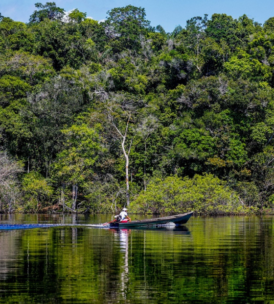 A Amazônia em 2024: retrospectiva dos principais acontecimentos da região