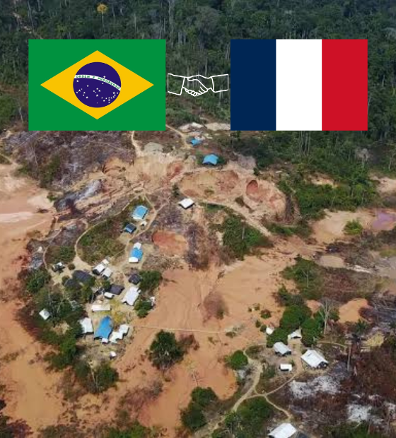 Brasil e França selam acordo de combate ao garimpo ilegal na Amazônia 