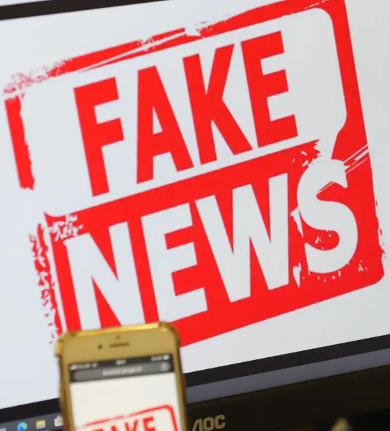 O combate de notícias falsas em plataformas digitais como um desafio global
