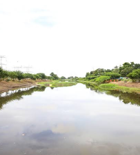Obra no canal São Joaquim é abandonada e região é invadida pelo tráfico 