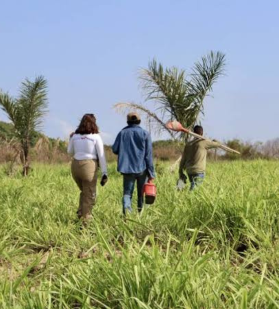 Iniciativa privada vai recuperar unidade de conservação no Pará