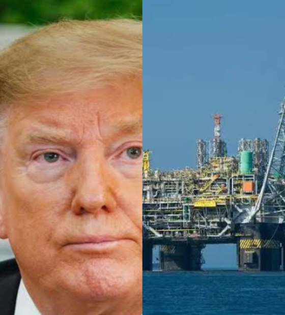 Efeito Trump ofusca repercussão internacional do petróleo na Amazônia 