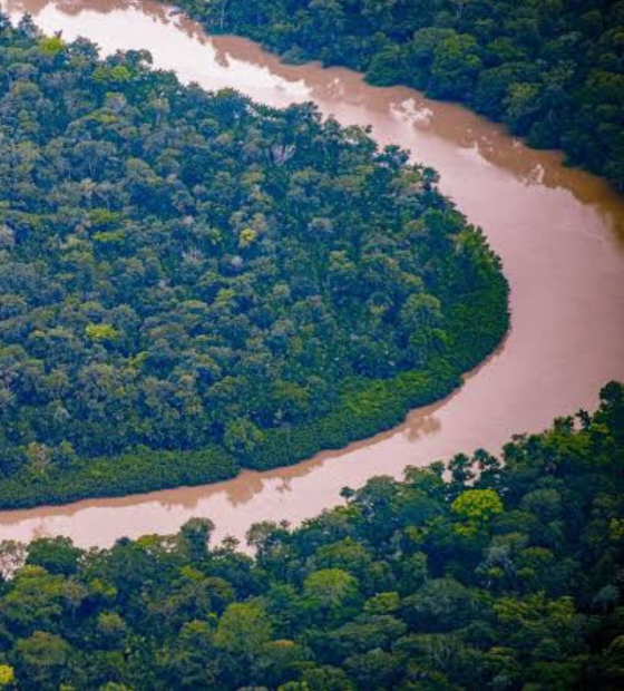 Amazônia perdeu 3,6 por cento da água de rios e lagos em 2024, aponta relatório