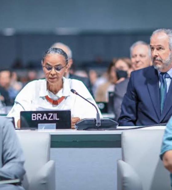 O Brasil e a responsabilidade de colocar a pauta climática na agenda global 