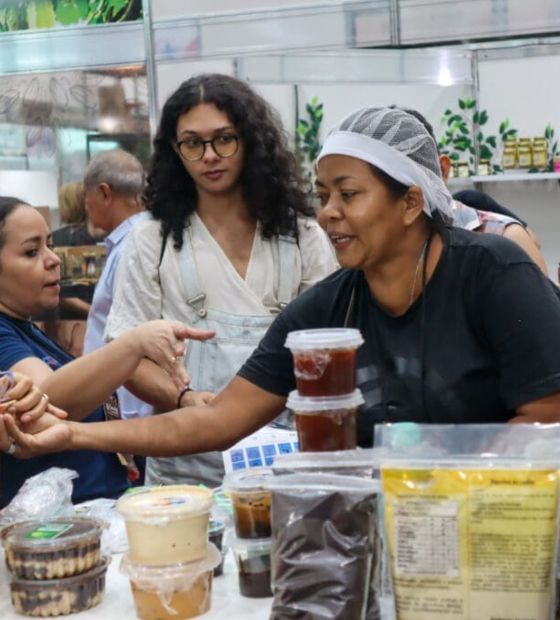 Apoio a empreendedores locais é uma estratégia para proteger a Amazônia