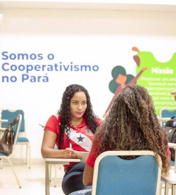 Programa Voluntariado COP: veja como atuar na Conferência do Clima, em Belém.