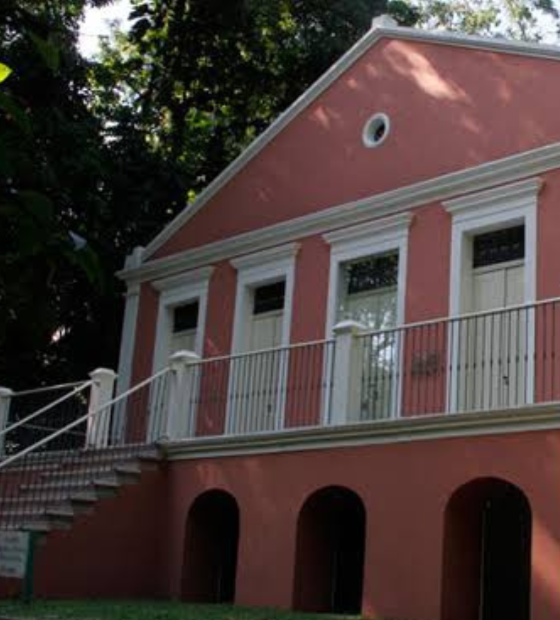 Museu Emílio Goeldi divulga planos de exposições e eventos para a COP30