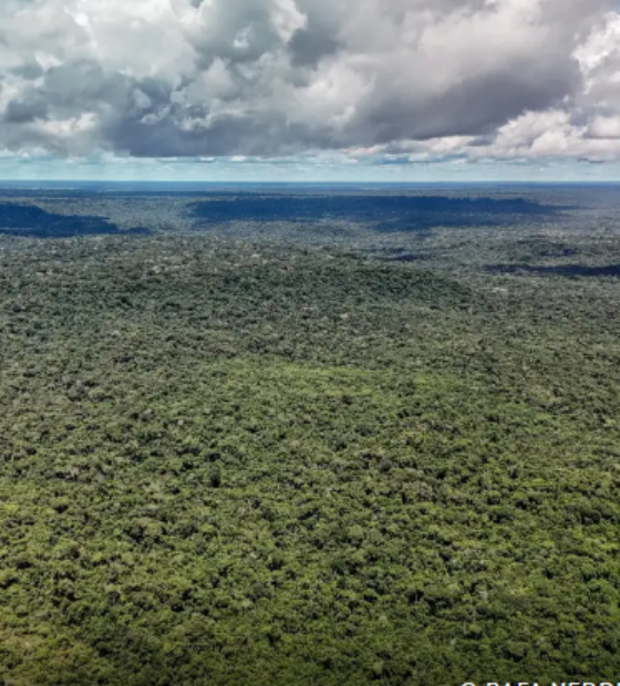 Ministério da Fazenda autoriza crédito de US$ 1 bilhão do BID para Eco Invest Brasil