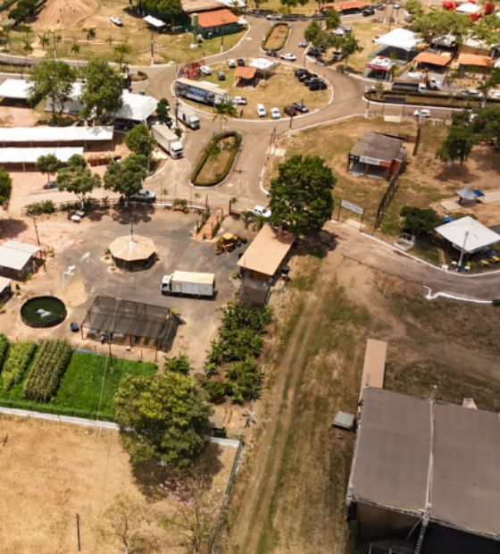 Expoama 2026: Agropecuária e inovação ganham destaque na ‘Fazendinha da Seagri’