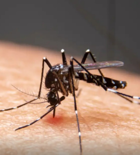 Mudanças climáticas já causam aumento de doenças infecciosas no país