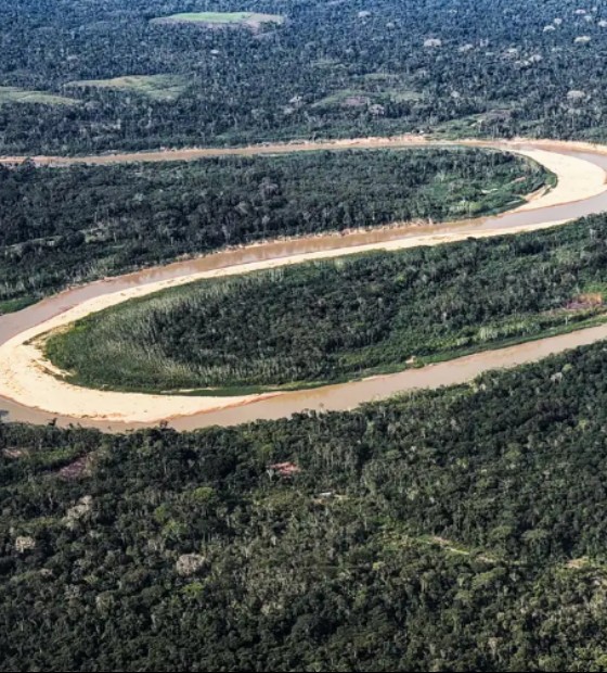 Países Baixos anunciam 500 milhões de dólares em fundo florestal criado pelo Brasil